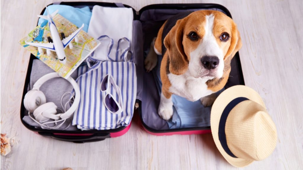 Revitalize Your Romance: Senior-Friendly Getaways for Intimacy